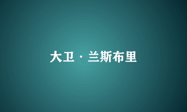 大卫·兰斯布里
