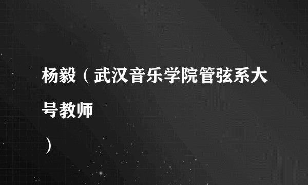 杨毅（武汉音乐学院管弦系大号教师
）