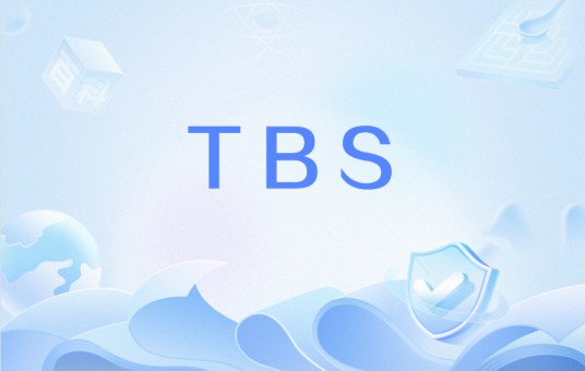 TBS（一种用于烹饪的计量单位）