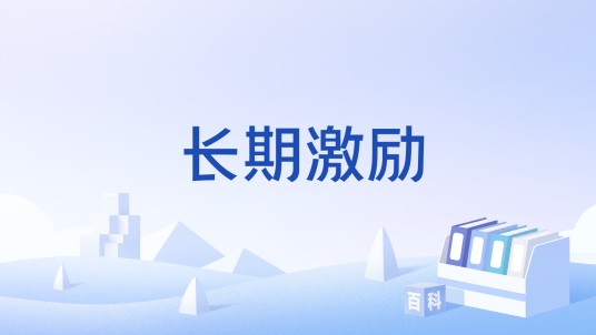 长期激励