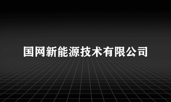 国网新能源技术有限公司
