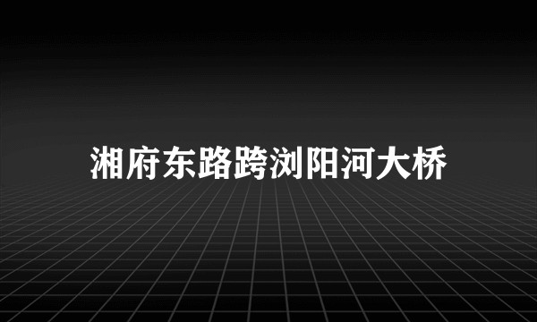 湘府东路跨浏阳河大桥