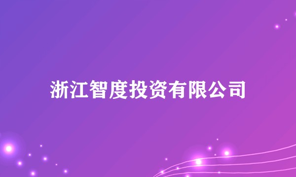 浙江智度投资有限公司
