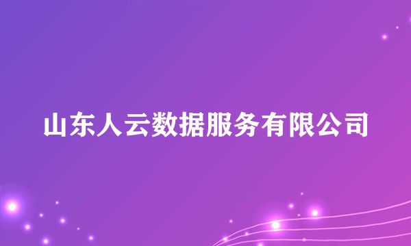 山东人云数据服务有限公司