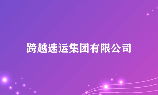 跨越速运集团有限公司