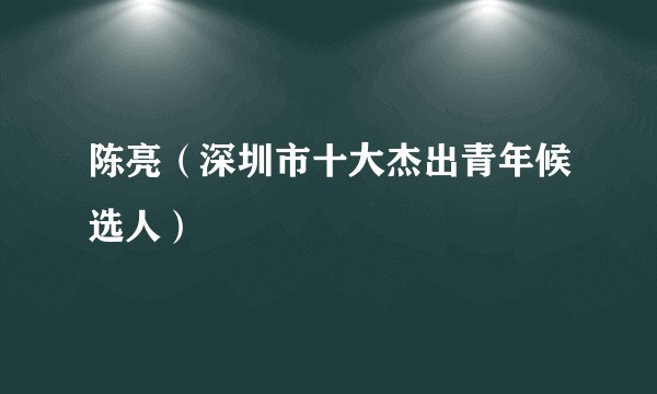 陈亮（深圳市十大杰出青年候选人）