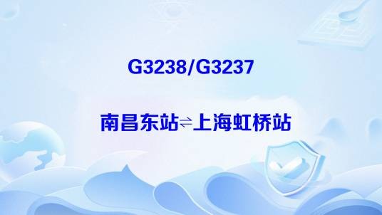 G3238次