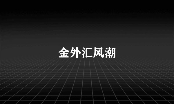 金外汇风潮