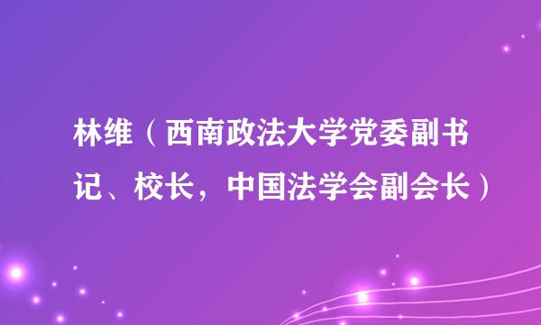 林维（西南政法大学党委副书记、校长，中国法学会副会长）