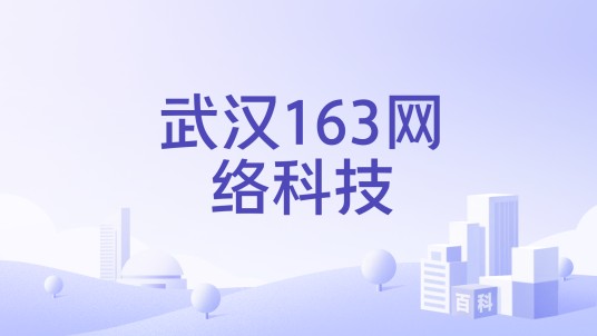 武汉163网络科技