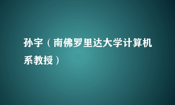 孙宇（南佛罗里达大学计算机系教授）