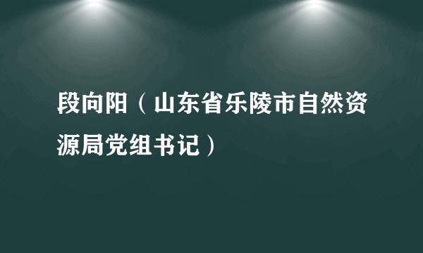 段向阳(山东省乐陵市自然资源局党组书记)