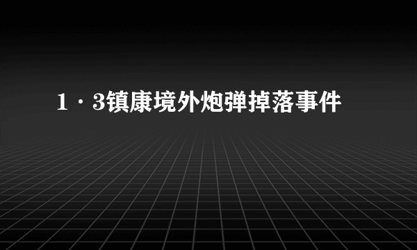 1·3镇康境外炮弹掉落事件