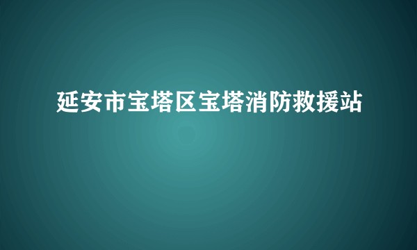 延安市宝塔区宝塔消防救援站