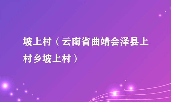 坡上村（云南省曲靖会泽县上村乡坡上村）