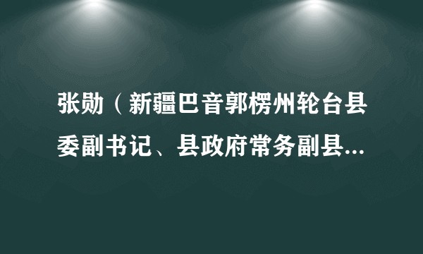 张勋（新疆巴音郭楞州轮台县委副书记、县政府常务副县长、轮台工业园区党工委书记、管委会副主任）