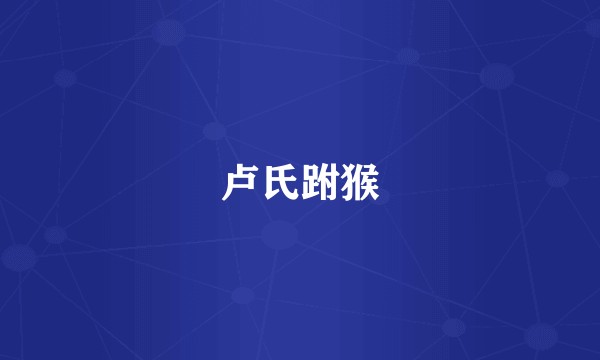 卢氏跗猴