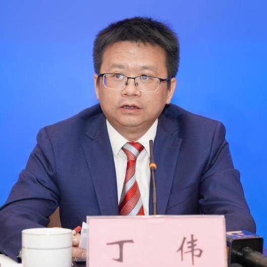 丁伟（广西壮族自治区南宁市委常委、常务副市长，市委金融办主任，市委金融工委书记，市委财办主任）