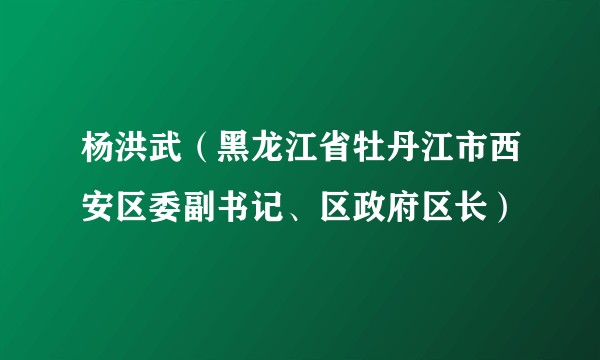 杨洪武（黑龙江省牡丹江市西安区委副书记、区政府区长）