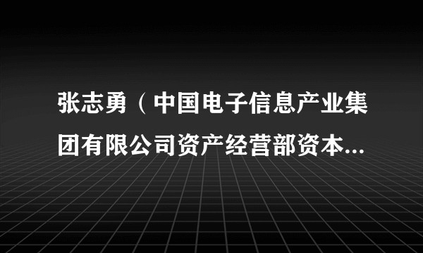 张志勇(中国电子信息产业集团有限公司资产经营部资本运营处处长)