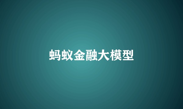 蚂蚁金融大模型