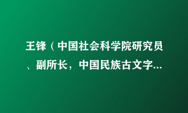 王锋(中国社会科学院研究员、副所长,中国民族古文字研究会副会长)
