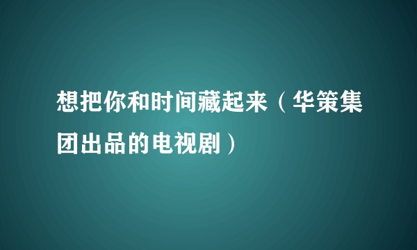 想把你和时间藏起来（华策集团出品的电视剧）
