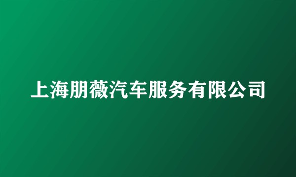 上海朋薇汽车服务有限公司