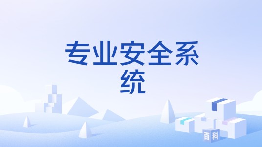 专业安全系统