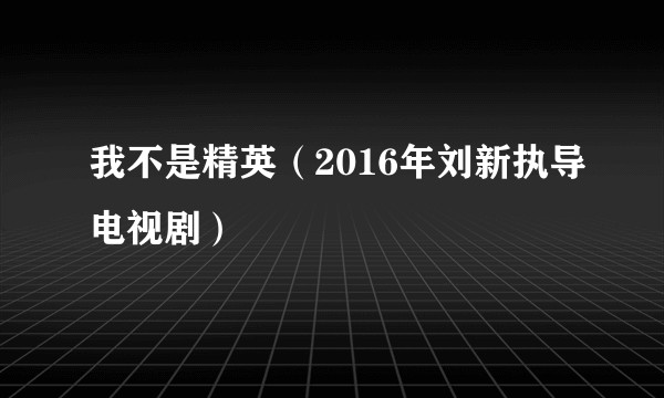 我不是精英（2016年刘新执导电视剧）