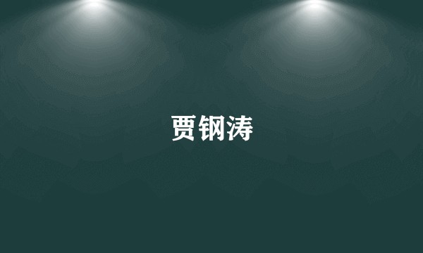 贾钢涛