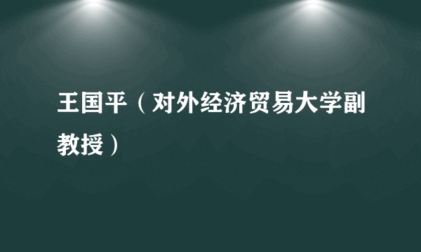 王国平（对外经济贸易大学副教授）