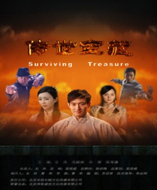 传世宝藏（2011年张志伟执导的电影）