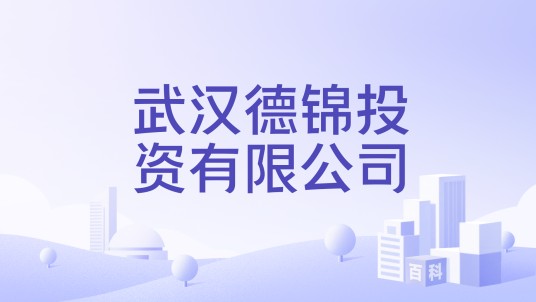 武汉德锦投资有限公司