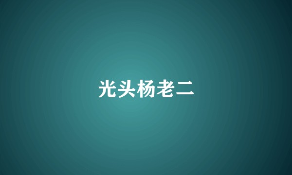 光头杨老二
