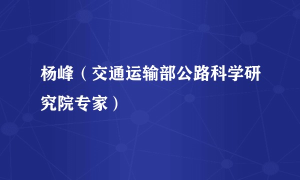 杨峰（交通运输部公路科学研究院专家）