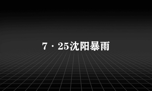 7·25沈阳暴雨