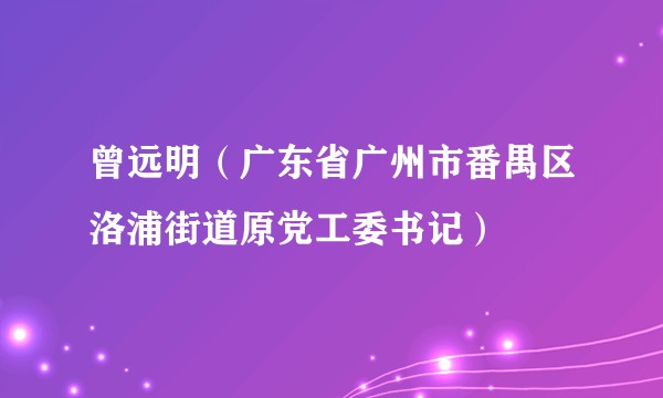 曾远明（广东省广州市番禺区洛浦街道原党工委书记）