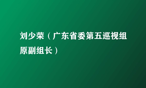 刘少荣(广东省委第五巡视组原副组长)