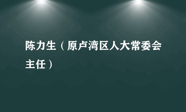 陈力生(原卢湾区人大常委会主任)