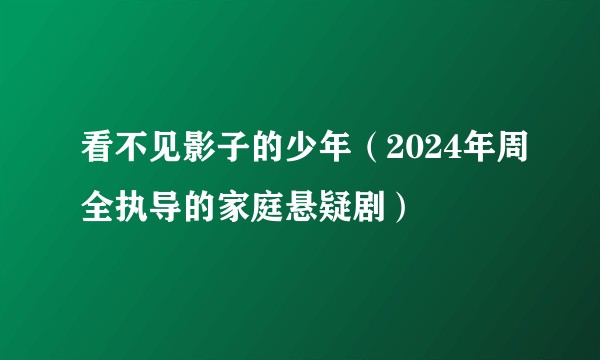 看不见影子的少年（2024年周全执导的家庭悬疑剧）