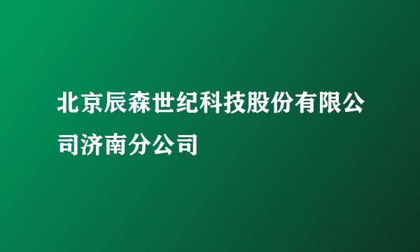 北京辰森世纪科技股份有限公司济南分公司