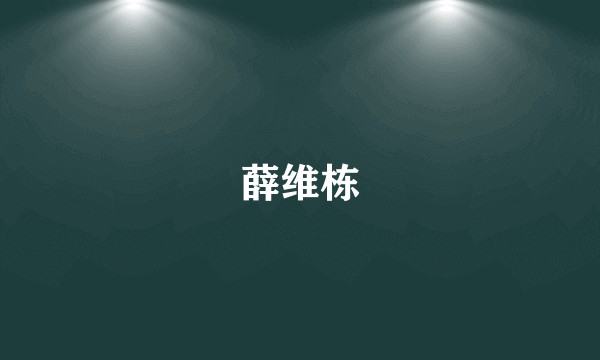 薛维栋