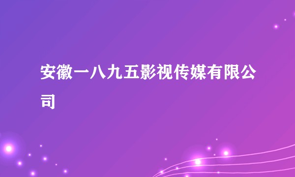 安徽一八九五影视传媒有限公司