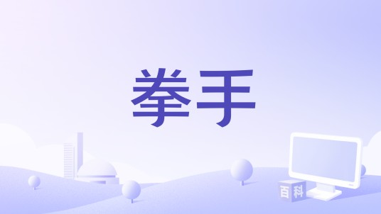 拳手（2014年中国电影）