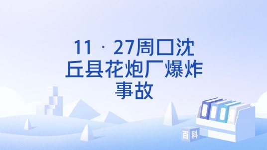 11·27周口沈丘县花炮厂爆炸事故