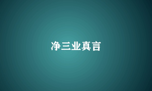 净三业真言