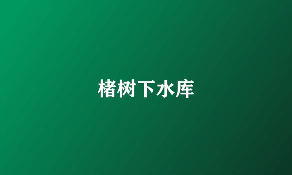 楮树下水库