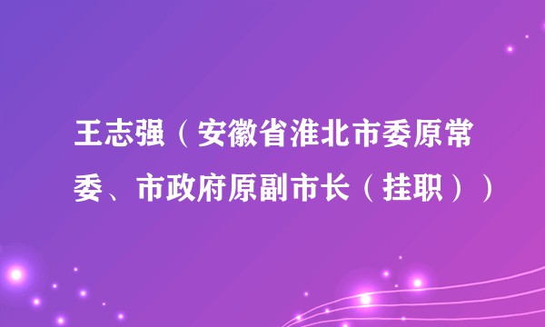 王志强（安徽省淮北市委原常委、市政府原副市长（挂职））