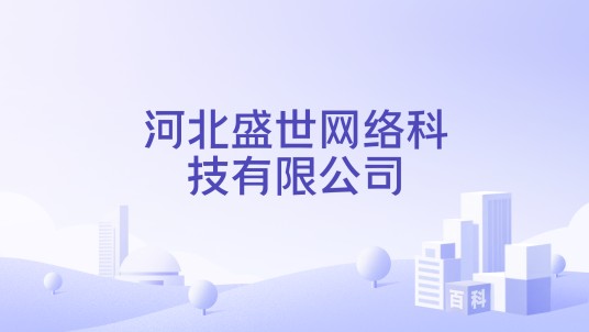 河北盛世网络科技有限公司